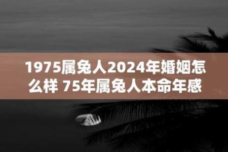 揭秘75年出生的人命运与楼层的神秘关系
