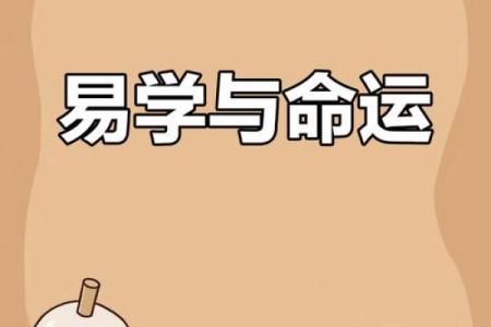 解读命理：探索你的职业适合性与人生方向