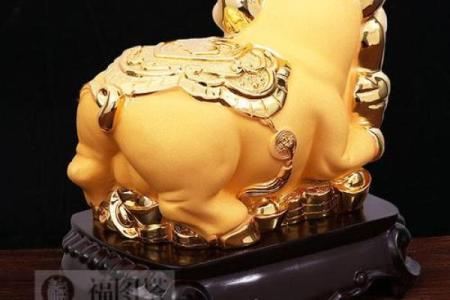 金命与生肖的完美搭档：哪种生肖最契合你的命理？