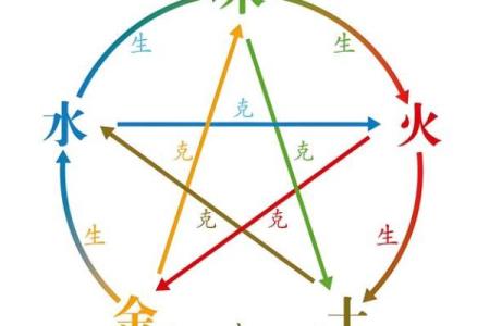 杨柳木与五行命理的完美结合：如何寻找最佳搭配