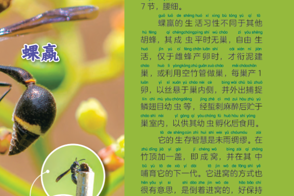87岁属什么生肖及其命运探秘：解密老年生命的智慧和价值