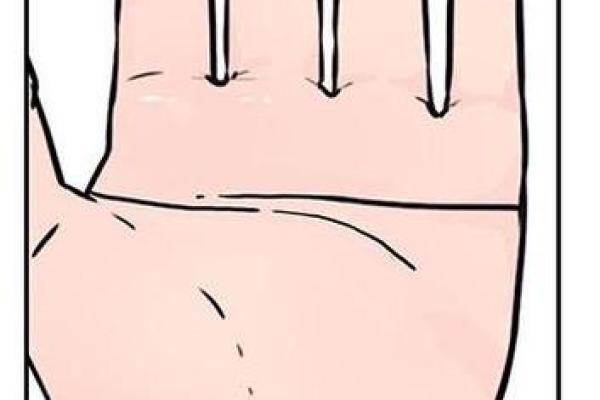 探秘断掌女子命格：她们的独特命运与人生轨迹