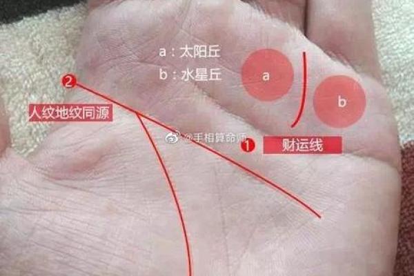 探秘断掌女子命格：她们的独特命运与人生轨迹