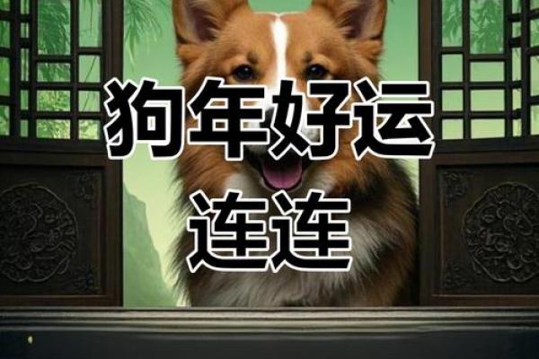25岁属狗的命运解析:探寻你的人生道路与运势趋势 25岁属狗的命运解析:探寻你的人生道路与运势趋势