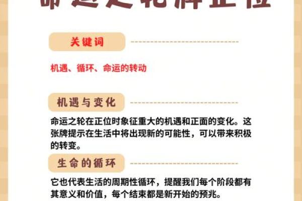 51岁属什么命?揭示命运背后的奥秘与智慧 51岁属什么命?揭示命运背后的奥秘与智慧