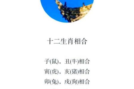 探寻生肖命运：每年的生肖与命运之间的奇妙关联