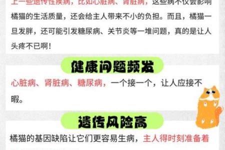 命理看养宠物:哪些命格不适合狗猫陪伴?
