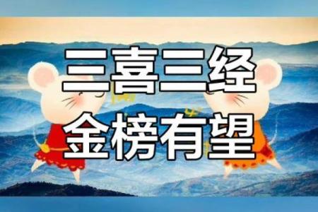 2023年木命人的运势与喜好：如何提升生活品质与幸福感