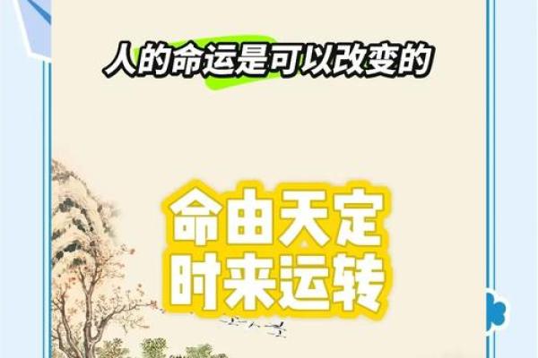 命由己造，运由天定：探索命运与努力的关系