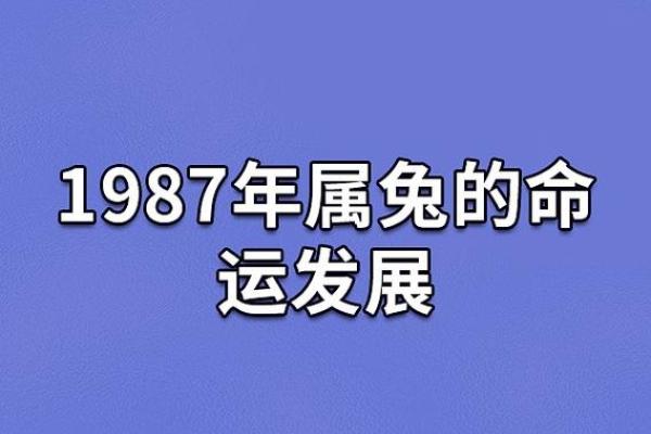 29年农历命运揭秘:解锁1985年出生的秘密与潜能 29年农历命运揭秘:解锁1985年出生的秘密与潜能