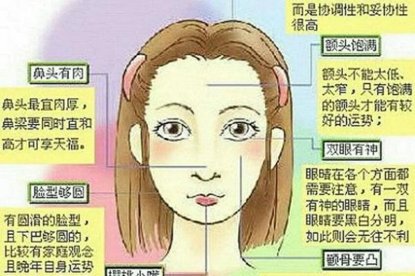 鼻梁中间突出，神秘命理背后的秘密解析