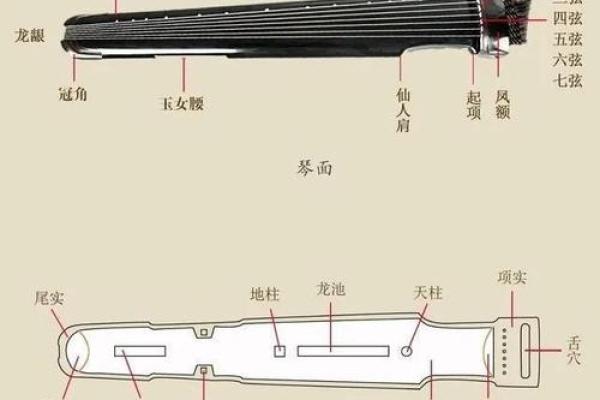 探秘四命琴与六命琴的精彩区别，揭开传统乐器的神秘面纱！