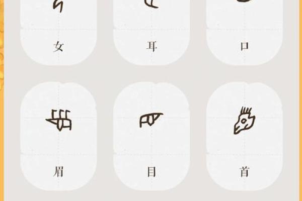 探索木命的奥秘：2000年代命理中的生与意义