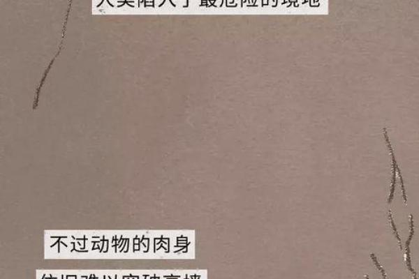 揭开“命烂”的神秘面纱：它是什么，如何影响我们的生活？