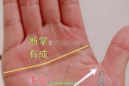 男人断掌双手的命理解析:奇特手相的深层意义与人生轨迹