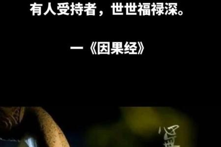 男人荷花命解析:揭示内心深处的精神世界与人生境遇