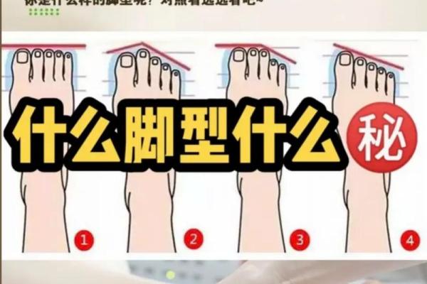探秘脚型与命运：你的脚告诉你的人生秘密！
