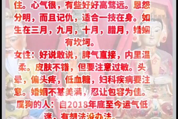 2006年属狗人的命运解析：揭秘你的未来运势与性格特质！