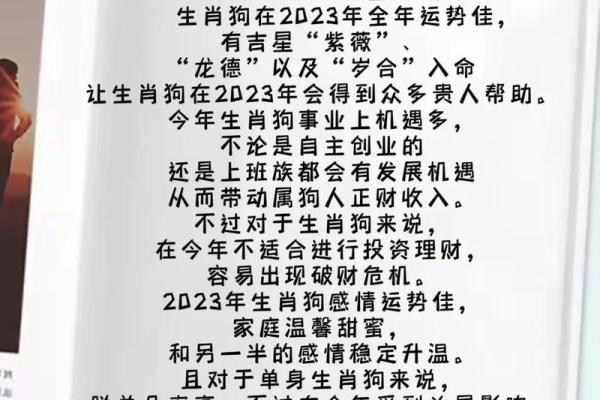 属狗人在2023年的命运分析与运势指南