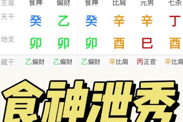 探秘女食神：她的命格与生活的美妙安排