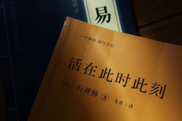 探索“响应为命”：对生活的深刻理解与感悟