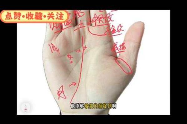 手上的斗数:你的命运从掌心看起! 手上的斗数:你的命运从掌心看起!