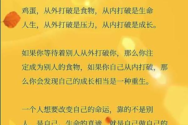 探索命护的深意与应用：帮助你找到人生的方向