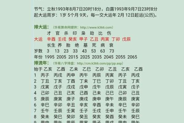 探索五行命理：了解2002年出生的命运与性格特征