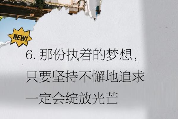 坚持不苟命：生活中的坚守与不懈追求
