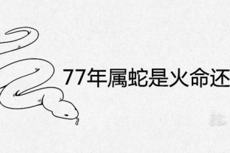 65年属蛇命运与缺陷：探寻人生的平衡与幸福之道