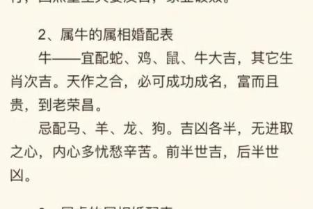 2004年属马人的命运解析与人生启示