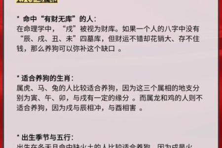 40岁属狗的人命运与性格解析：探寻生肖背后的智慧和魅力