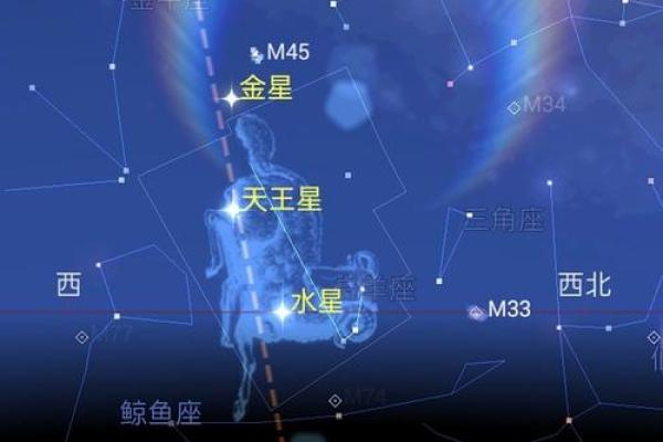 探索放置女神的命星：神秘与实力的结合