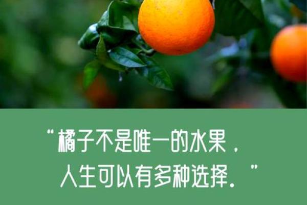 橘色与命格：探寻适合橘色的男人特质与人生之路