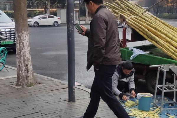 走路晃荡的人是什么命？探寻体态与命理的关系