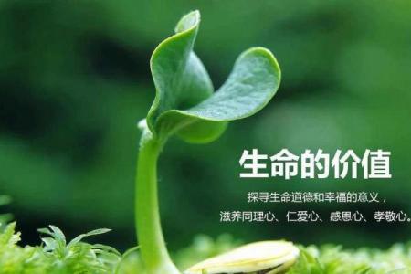 命字的深刻内涵:探寻生命的意义与方向