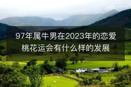 1998年牛年出生的人，值得关注的命运与性格解析