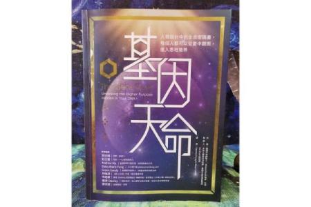 命理学的根基:探寻宇宙与人生的深刻联系