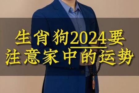 七零属狗的人，命运与性格的精彩探索