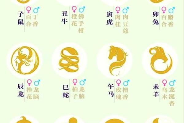 探秘十二生肖：解读出生年份与命理的奥秘