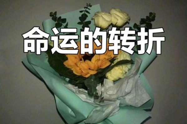 命运的交错:探寻“遇”的深邃含义与人生启示 命运的交错:探寻“遇”的深邃含义与人生启示