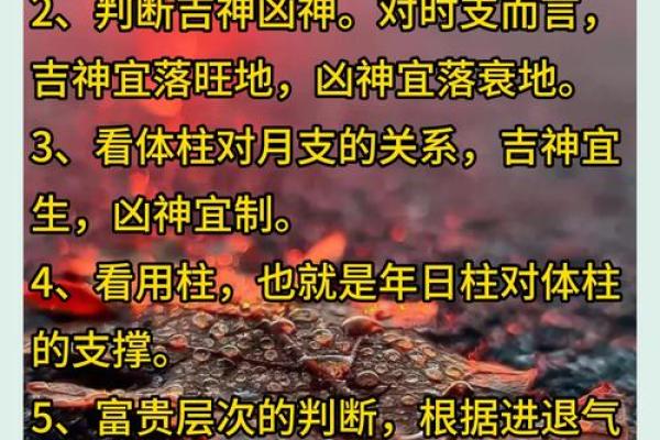 如何通过八字命理判断孩子的命运与未来发展