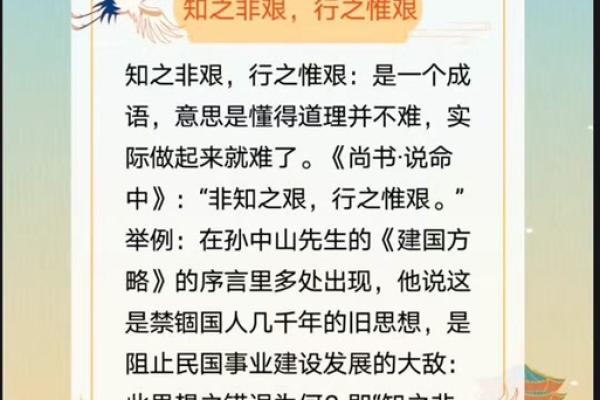 探寻“甲什么非他命”的背后意义：生活中的坚持与选择