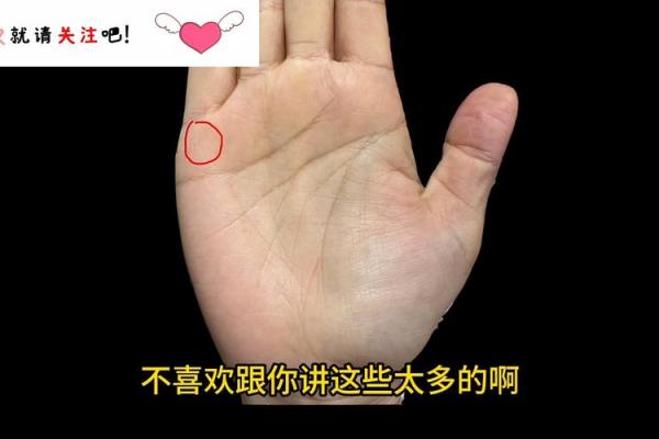 探索天生状元手相：揭秘命格背后的成功之道