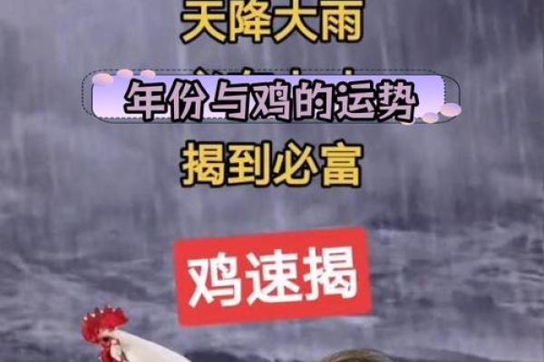 小年鸡的命运:探索出生在小年鸡的独特命理之旅 小年鸡的命运:探索出生在小年鸡的独特命理之旅
