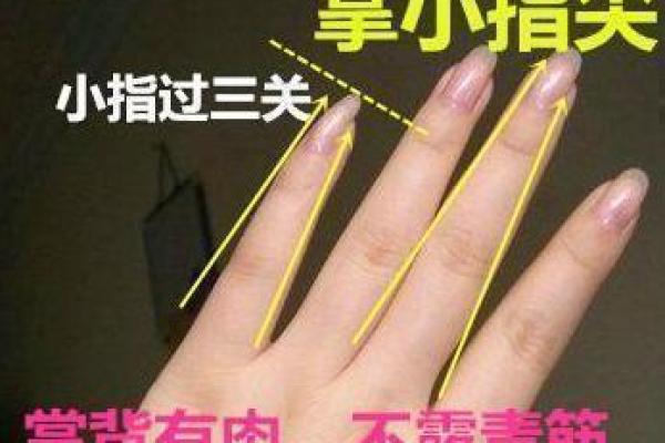 指头尖尖女子的命运：她们的生活与挑战