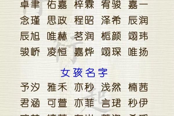 2023兔年出生宝宝的命运与性格分析：让我们一起探讨！