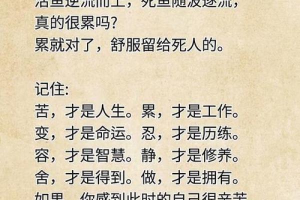 探秘坐山虎命：命理与人生的深刻理解