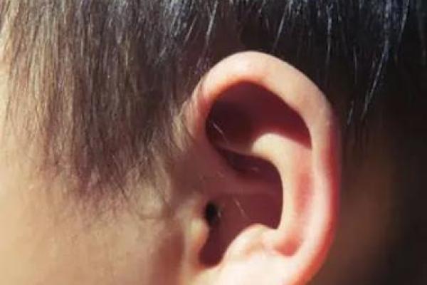 男人耳垂小是什么命?解析耳垂与命运的神秘关系 男人耳垂小是什么命?解析耳垂与命运的神秘关系