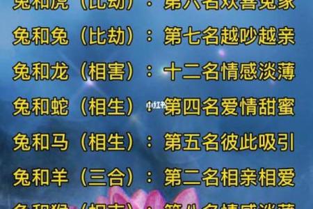 探索40年属相与命理的奥秘，揭示人生的每一步！